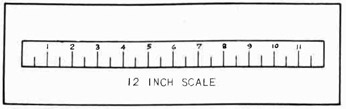 Fig 4. 12 inch scale