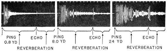 Oscillograms of reverberation and echo.