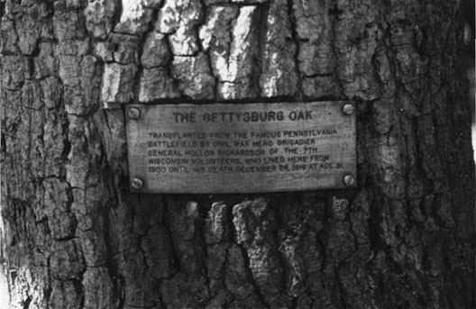 A plaque is shown attached to the tree. THE GETTYSBURG OAK, TRANSPLANTED FROM THE FAMOUS PENNSYLVANIA BATTLEFIELD BY CIVIL WAR HERO BRIGADIER GENERAL HOLLOW RICHARDSON OF THE 7TH WISCONSIN VOLUNTEERS WHO LIVED HERE FROM 1900 UNTIL HIS DEATH DECEMBER 24, 1916 AT AGE 81.