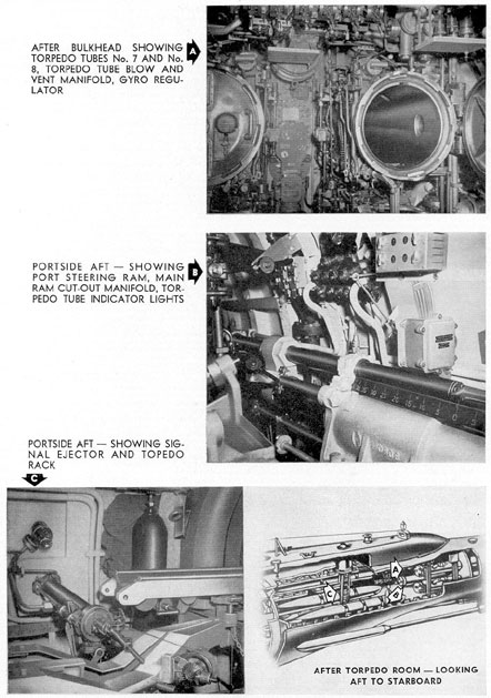 Photos of After torpedo room.