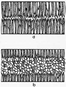 Figure 12. Dendritic solidification and dendritic-equiaxed solidification.