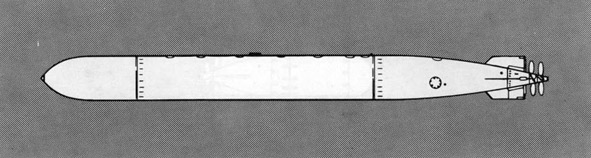 Illustration of Torpedo Mk 31