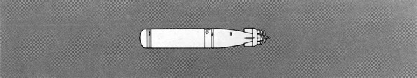 Illustration of Torpedo Mk 44