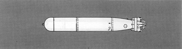 Illustration of Torpedo Mk 21 Mod 2