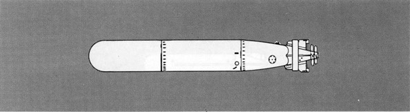 Illustration of Torpedo Mk 25