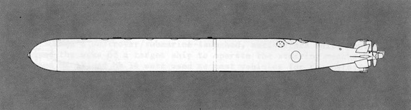 Illustration of Torpedo Mk 28