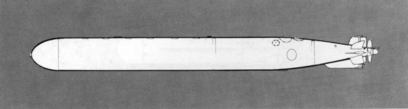 Illustration of Torpedo Mk 29