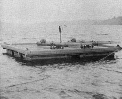 Torpedo shown on a small float.